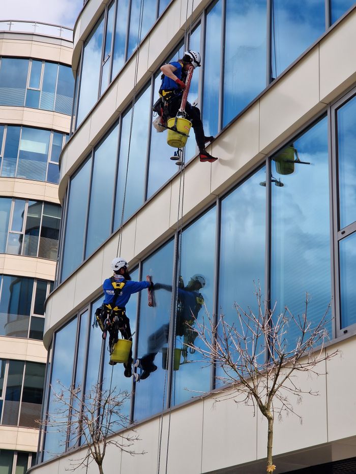 Deux laveurs de vitres utilisant des cordes sur un gratte-ciel moderne, illustrant l’entretien professionnel en milieu urbain.